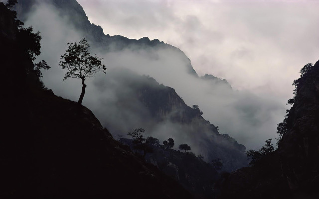 Tree mountain fog city clouds free wallpaper - medium preview image