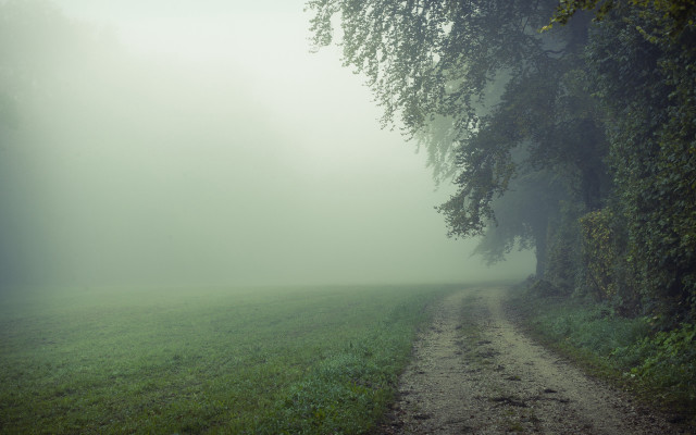 Dirt road field tree fog free wallpaper - medium preview image