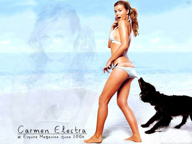 Woman bikini beach dog walking free wallpaper - medium preview image