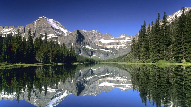 Mountain lake reflection pine forest free wallpaper - medium preview image
