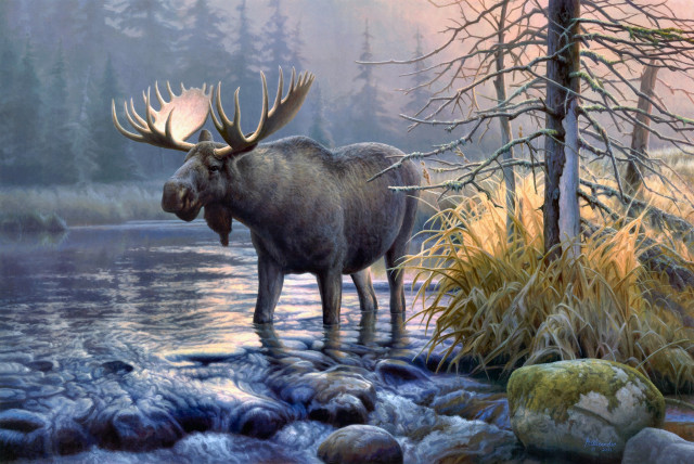Moose river forest trees grass free wallpaper - medium preview image