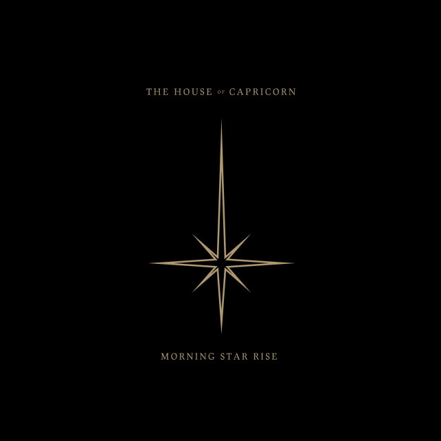 Black gold poster star side free wallpaper - medium preview image