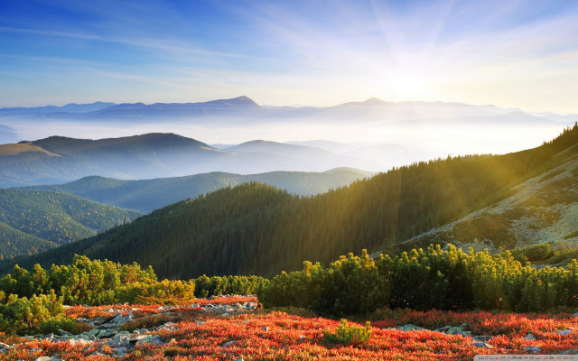 Scenic mountain range sunbeam forest free wallpaper - medium preview image