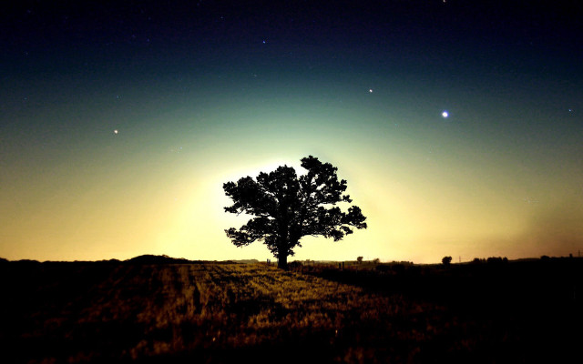 Lone tree field night moon free wallpaper - medium preview image