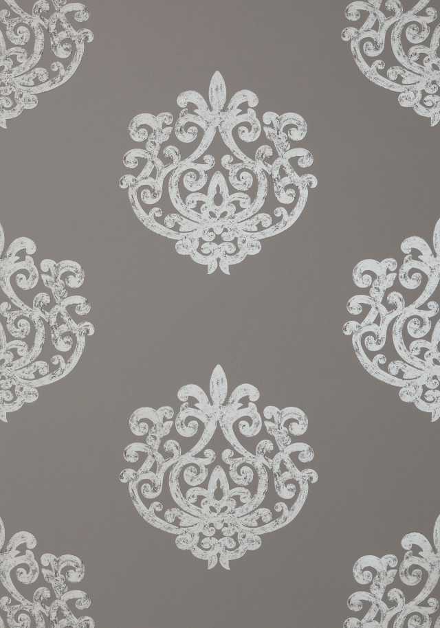 White flowers gray background flower free wallpaper - medium preview image