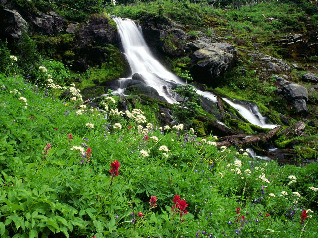 Waterfall lush forest wildflowers rocks free wallpaper - medium preview image