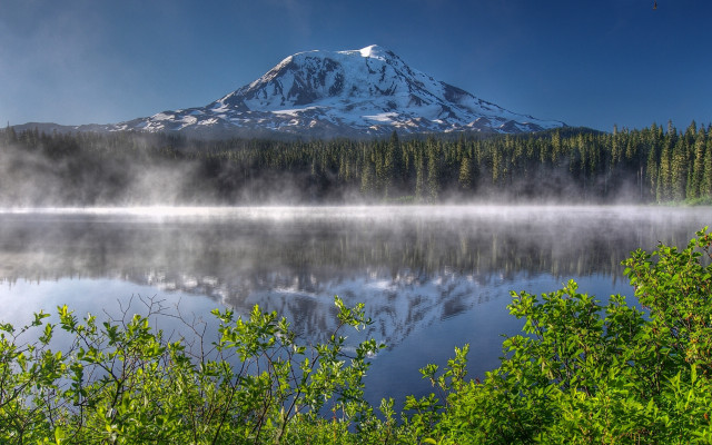 Mountain snow lake fog forest free wallpaper - medium preview image