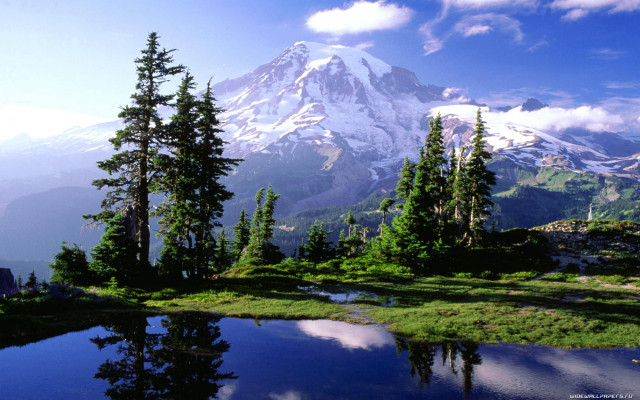 Snowcapped mountain reflection pool trees free wallpaper - medium preview image