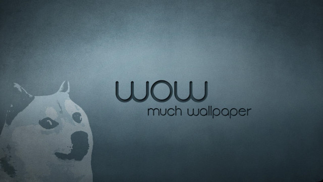 Dog standing wall wow dog free wallpaper - medium preview image