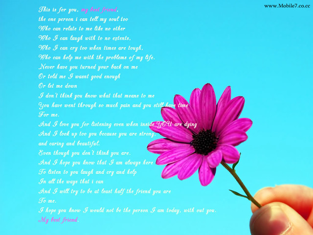 Person holding flower poem background free wallpaper - medium preview image
