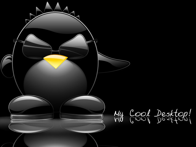 Black bird yellow beak black free wallpaper - medium preview image