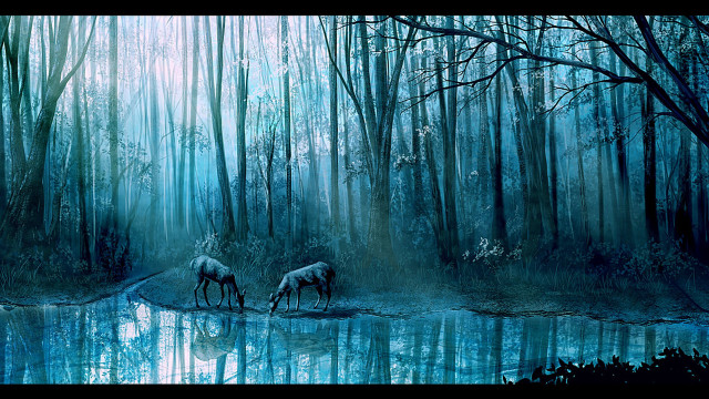Animals woods river reflection forest free wallpaper - medium preview image