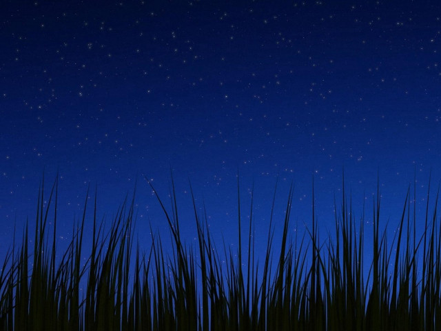 Night sky stars grass blue free wallpaper - medium preview image