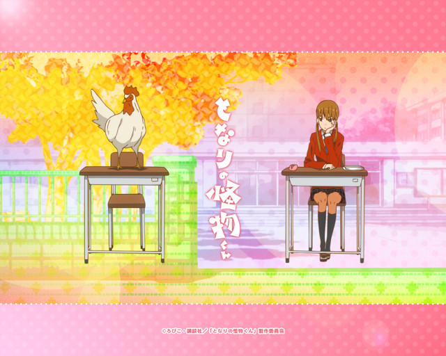 Girl chicken desk sitting shoulder free wallpaper - medium preview image
