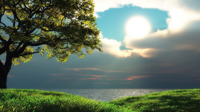 Tree hill lake sun sky #2 free wallpaper - medium preview image