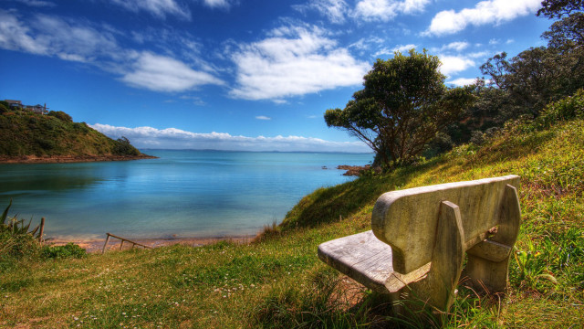 Bench hill water tree blue #5 free wallpaper - medium preview image