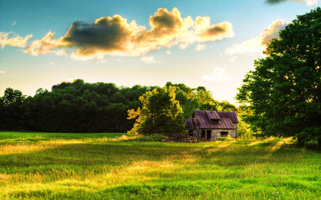 House field trees background cloudy free wallpaper - medium preview image