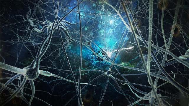 Tree sky blue light star free wallpaper - medium preview image