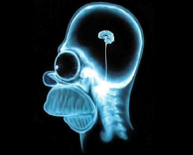 X ray human head flower free wallpaper - medium preview image