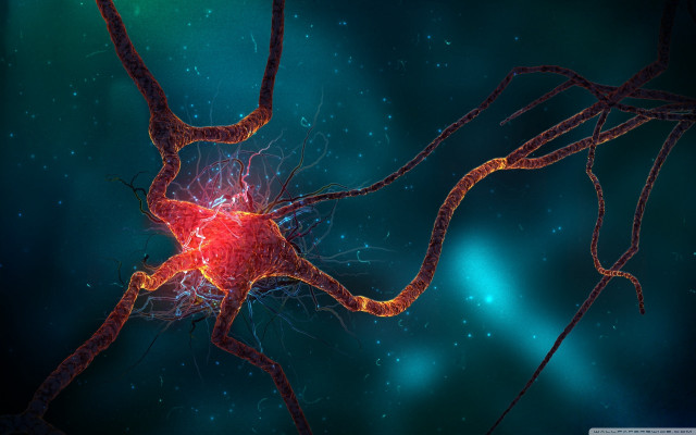 Nematic cell red light blue free wallpaper - medium preview image