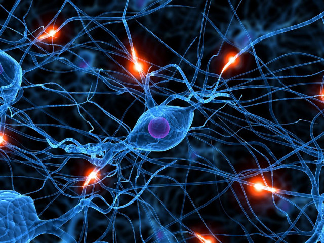 Neme cell red light center #2 free wallpaper - medium preview image