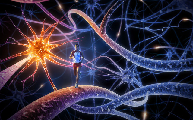 Star brain person computer generated free wallpaper - medium preview image