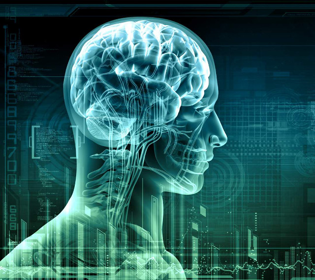 Human head futuristic background city free wallpaper - medium preview image