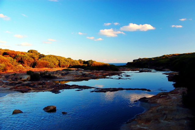 River lush green forest hillside free wallpaper - medium preview image