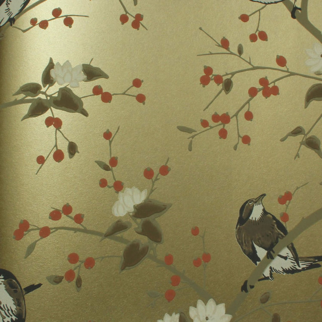 Bird sitting branch tree berries free wallpaper - medium preview image