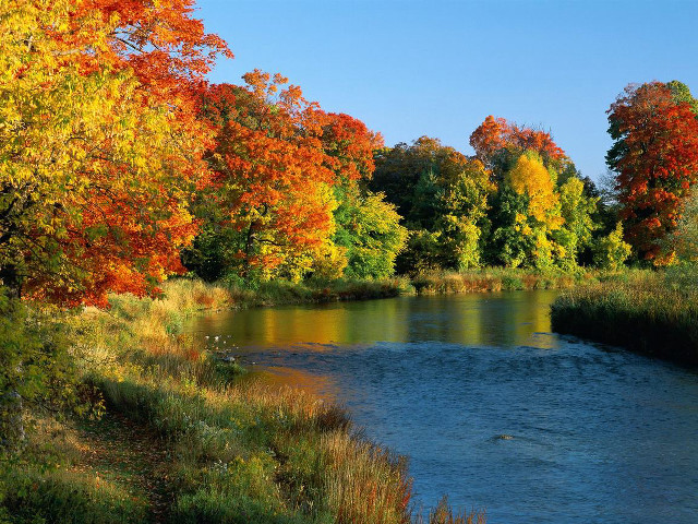 Autumn river trees leaves sky free wallpaper - medium preview image
