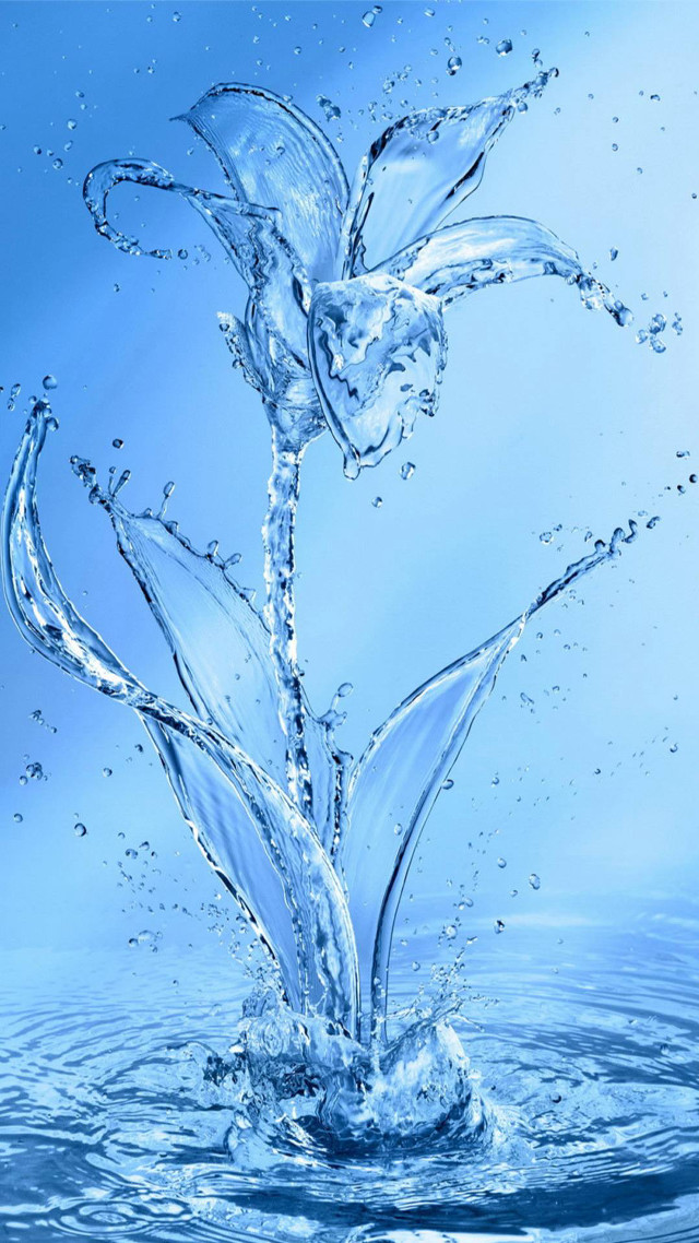 Flower splashing water blue background free wallpaper - medium preview image