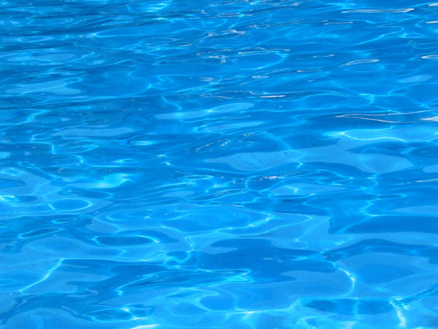 Blue pool white frisbee floating free wallpaper - medium preview image