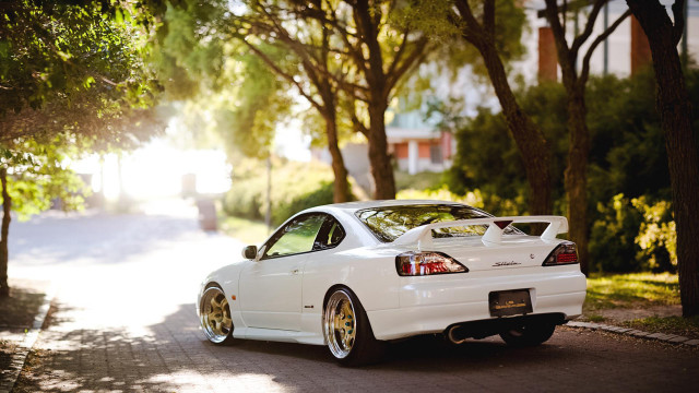 White car parked road trees #2 free wallpaper - medium preview image