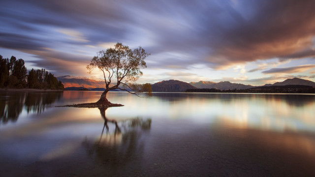 Lone tree lake sunset mountains free wallpaper - medium preview image