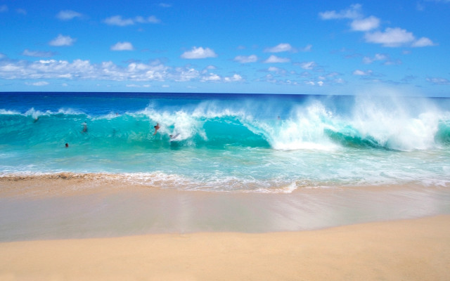 Beach surfers waves sunny day free wallpaper - medium preview image