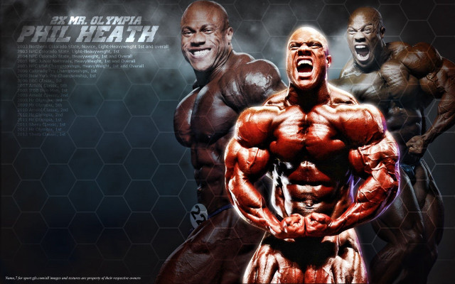 Muscular men group chest muscles free wallpaper - medium preview image