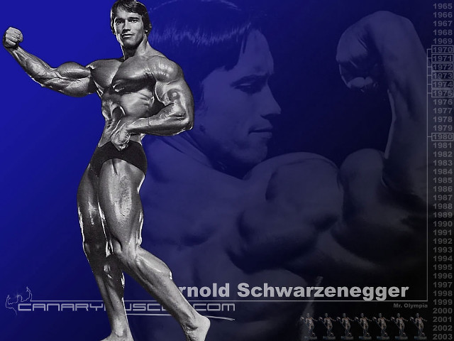 Muscular man blue background image free wallpaper - medium preview image