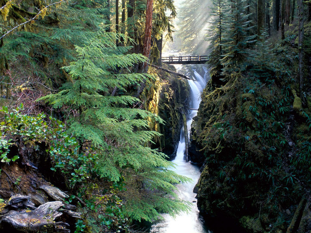 Waterfall bridge forest river trees free wallpaper - medium preview image
