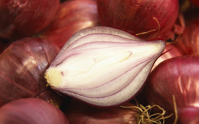 Onion closeup vegetables bowl table free wallpaper for desktop - medium preview image