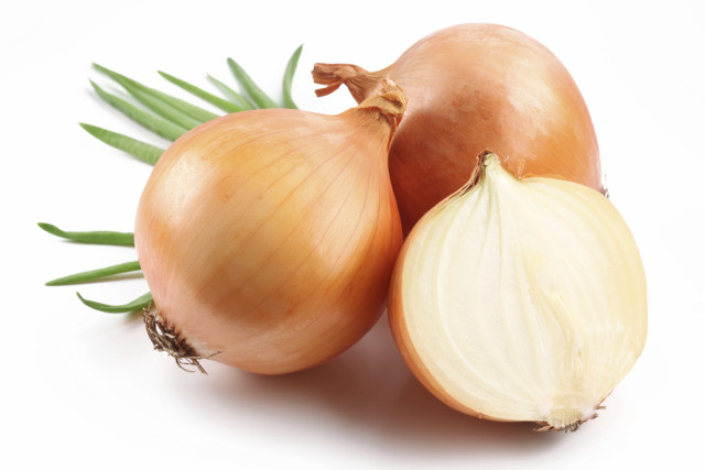 Onions green stems white background free wallpaper - medium preview image