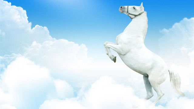 White horse clouds blue sky free wallpaper - medium preview image