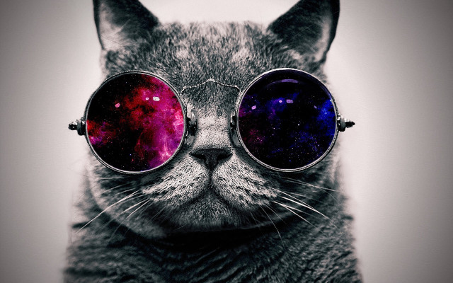 Cat glasses space planet moon free wallpaper - medium preview image
