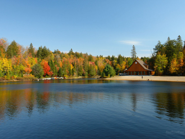 Lake trees house person shore free wallpaper - medium preview image