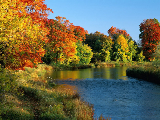 Autumn river trees leaves sky #3 free wallpaper - medium preview image