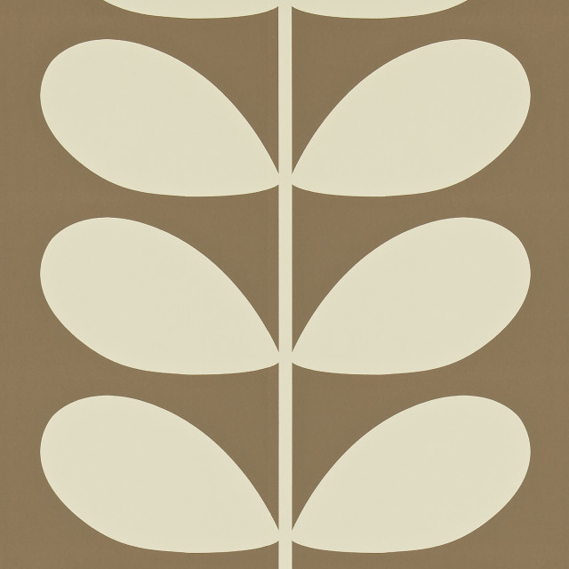 Brown white flower white stripe free wallpaper - medium preview image
