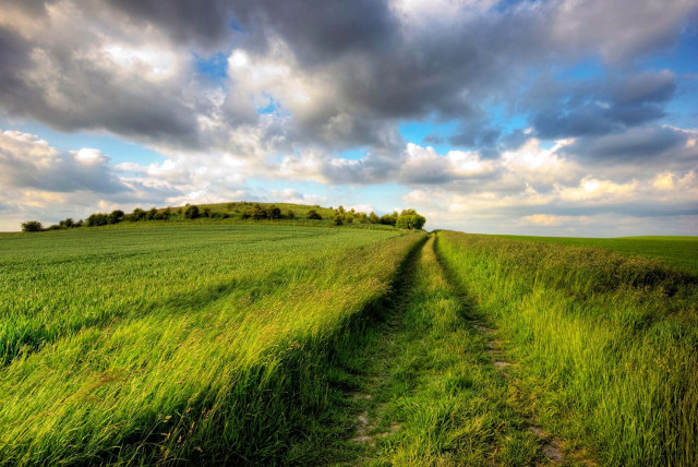 Dirt road field cloudy sky free wallpaper - medium preview image