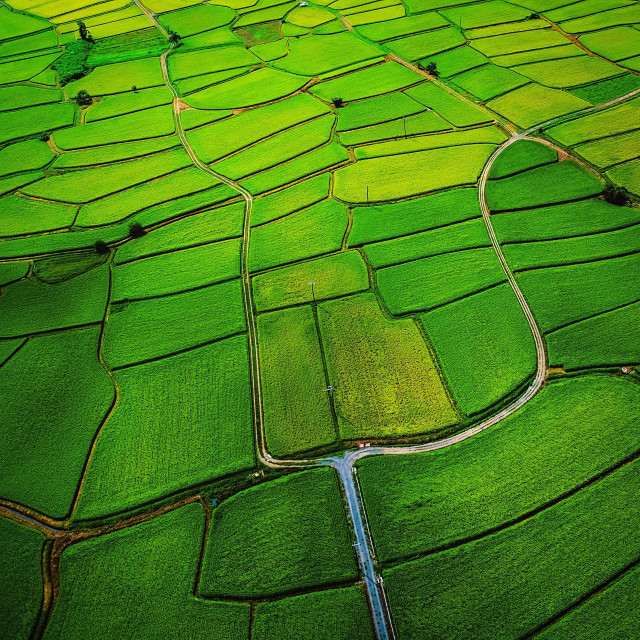 Green field river sky background free wallpaper - medium preview image
