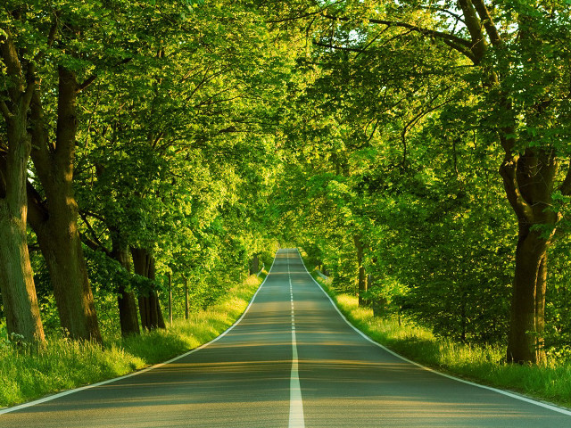 Road trees grass scenery nature #4 free wallpaper - medium preview image