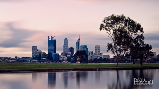 City lake tree pinksky bridge free wallpaper - medium preview image