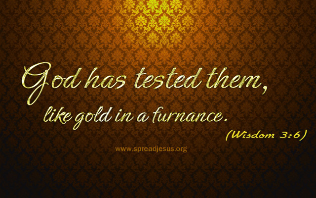 Bible verse wall god has free wallpaper - medium preview image